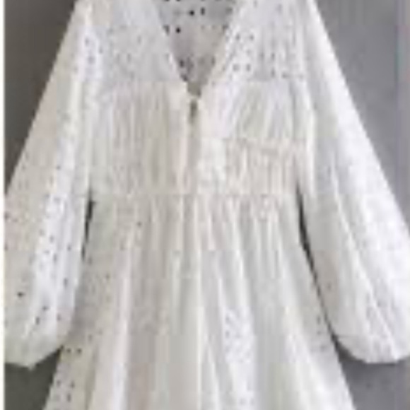 ZARA BNWT OYSTER WHITE EMBROIDERED MINI DRESS CUTWORK - Picture 3 of 3